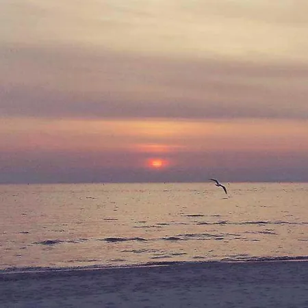 Seestern _ Strandnah 公寓 塞巴特黑灵斯多夫